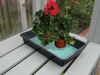 Mata nawadniająca kapilarna 34 cm x 21 cm – Garland