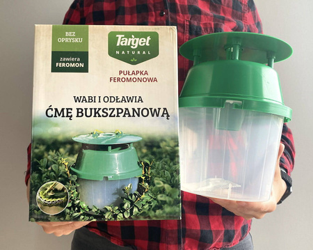 Pułapka feromonowa na ćmę bukszpanową