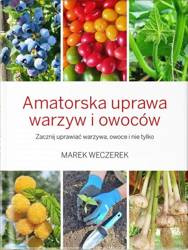 Domyślna nazwa