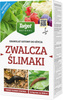 Domyślna nazwa