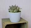 Osłonka-Doniczka Magnolia Eco Wood 110 Jumper Naturalne Drewno