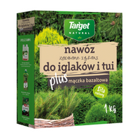 1 kg