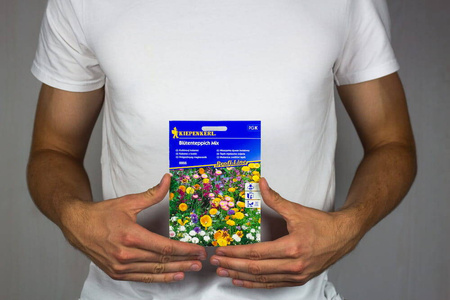 Mieszanka dywan kwiatowy Blütenteppich Mix