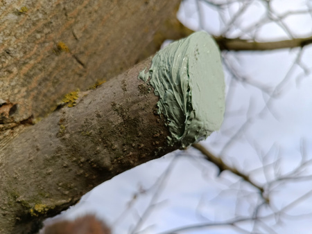 Maść ogrodnicza 350 g