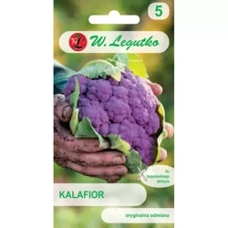 Kalafior Fioletowy Di Sicilia Violetto 1 g - Legutko