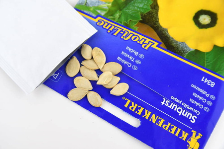 Cukinia Sunburst Cucurbita pepo