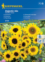 Słonecznik Zwyczajny Majestic Mix – Kiepenkerl
