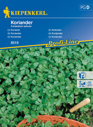 Kolendra – Kiepenkerl