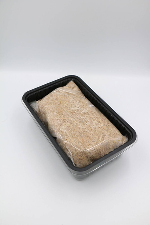 Zestaw do uprawy grzybów – Boczniak Ostrygowaty – 3 l Exotic Grow