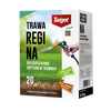 Regina 500 g nasiona trawy do uzupełniania ubytków w trawniku
