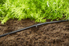 Linia kroplująca do rzędów roślin – zestaw L – 50 m Gardena