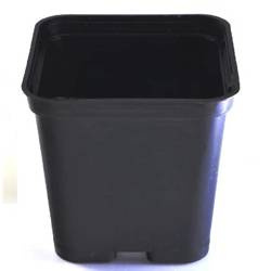 Doniczki Produkcyjne Kwadratowe 7x7 -  50 szt. Zoigarden