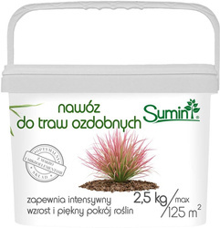 Domyślna nazwa