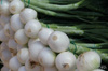 Cebula dymka biała Snowball 250 g
