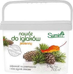Domyślna nazwa