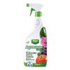 Agrocover Spray zwalcza mszyce, przędziorki, czerwce 1l