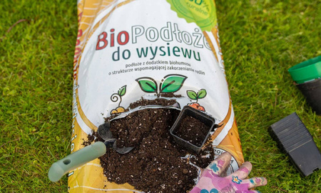 Domyślna nazwa