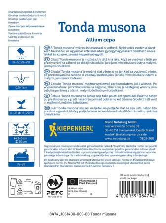Cebula siedmiolatka , odmiana zimowa Tonda Musona Kiepenkerl