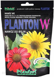 Domyślna nazwa