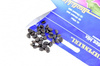 Wilec Picotee Mix Ipomoea purpurea