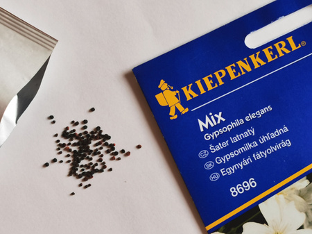 Gipsówka - Mix Nasiona - Kiepenkerl