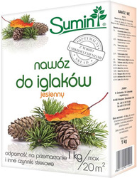 Domyślna nazwa