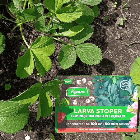 Larva Stoper 50 MLN – nicienie na opuchlaki i pędraki – Target