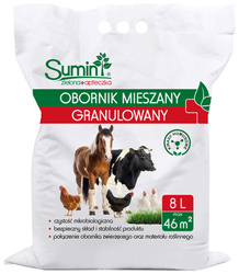 Domyślna nazwa