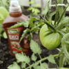 Zestaw Ekopomidor Vegano – 3x1 l Naturalny Nawóz Ekologiczny (Trzeci Gratis)