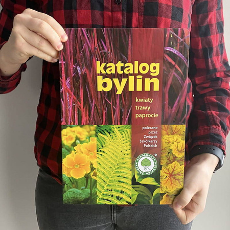 Katalog bylin - kwiaty, trawy i paprocie