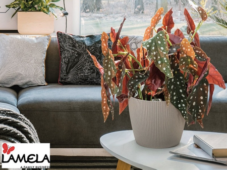 Osłonka-Doniczka Magnolia Eco Wood 220 Jumper Biała