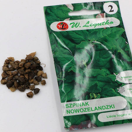 Domyślna nazwa