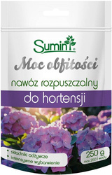 Domyślna nazwa