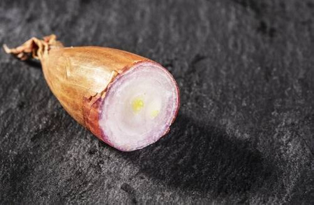 Cebula szalotka czerwona Red Sun 250 g