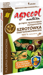 Domyślna nazwa