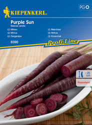 Marchew ,,Purple Sun ‘’F1 – Kiepenkerl