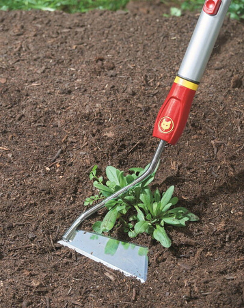 Motyka Holenderska 13 cm SH-M – Multi-Star – Wolf Garten