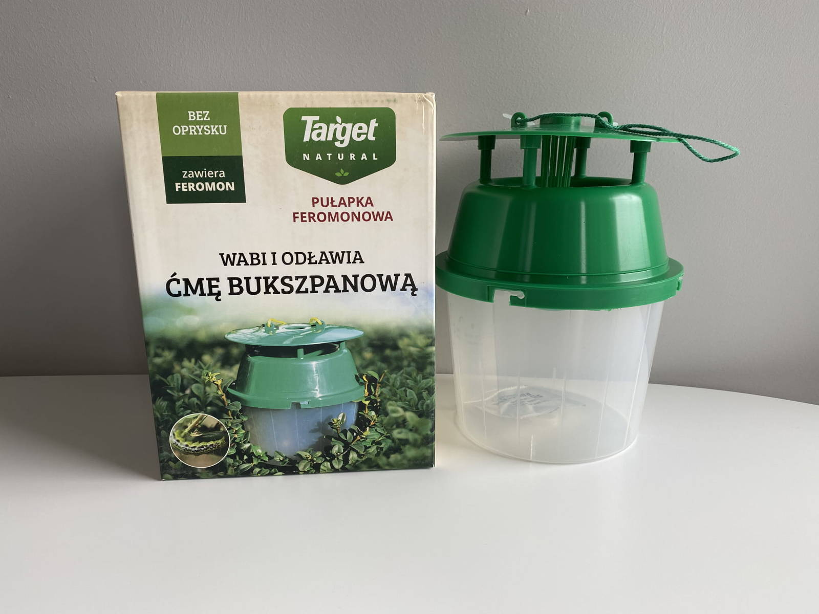 Pułapka feromonowa na ćmę bukszpanową