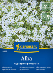 Gipsówka biała