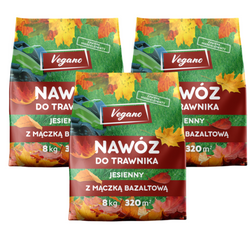 Domyślna nazwa