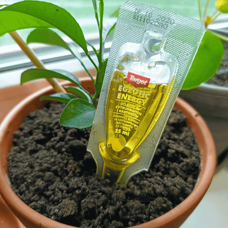 Odżywka do cytrusów i kaktusów Egzotic Energy 35 ml Target