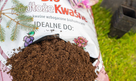 Domyślna nazwa