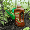 Zestaw Ekopomidor Vegano – 3x1 l Naturalny Nawóz Ekologiczny (Trzeci Gratis)