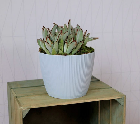 Osłonka-Doniczka Magnolia Eco Wood 110 Jumper Naturalne Drewno