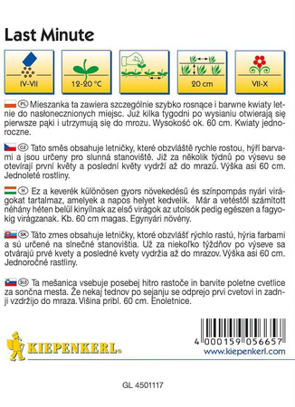 Mieszanka kwiatów Last Minute - Kiepenkerl