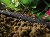 Wąż nawadniający Drip 1/2" 30 m – Cellfast