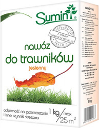 Domyślna nazwa