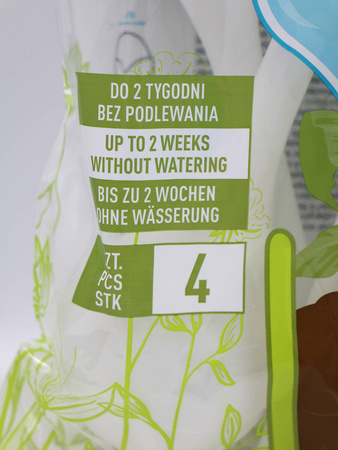 Domyślna nazwa