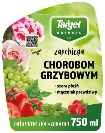 Domyślna nazwa