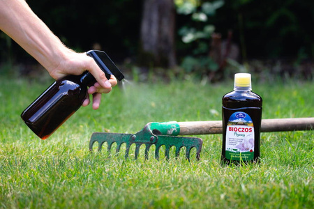 Boczos – płynny wyciąg z czosnku – 500 ml